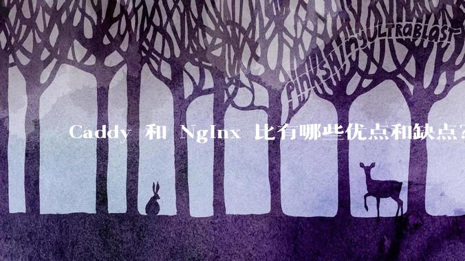 Caddy 和 Nginx 比有哪些优点和缺点？