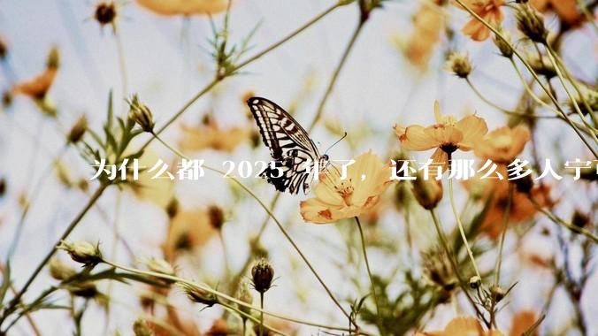 为什么都 2025 年了，还有那么多人宁可双持，也不愿意放弃安卓或非安卓手机？