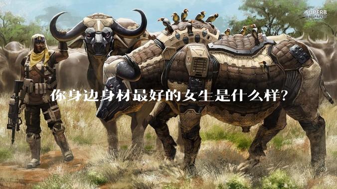 你身边身材最好的女生是什么样？