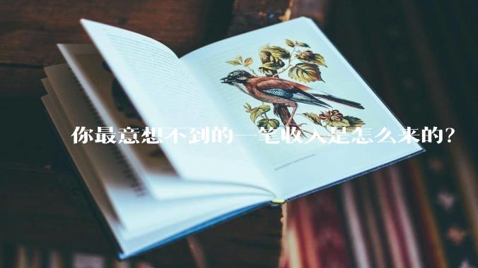 你最意想不到的一笔收入是怎么来的？
