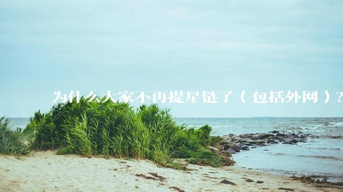 为什么大家不再提星链了（包括外网）？