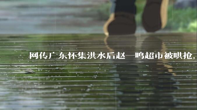 网传广东怀集洪水后赵一鸣超市被哄抢，县***回应相关单位正在核实，若属实哄抢者该承担哪些法律责任？