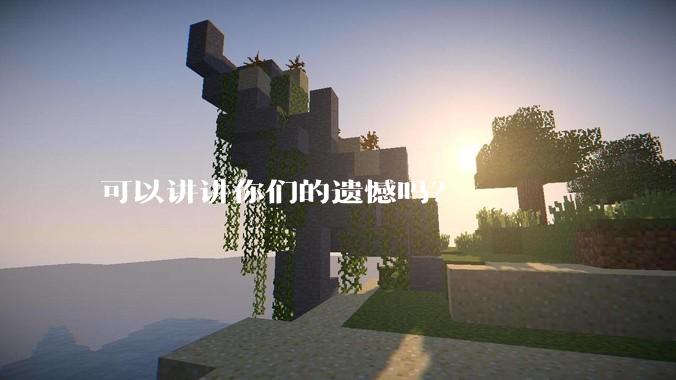 可以讲讲你们的遗憾吗？