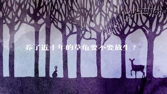 养了近十年的草龟要不要放生?